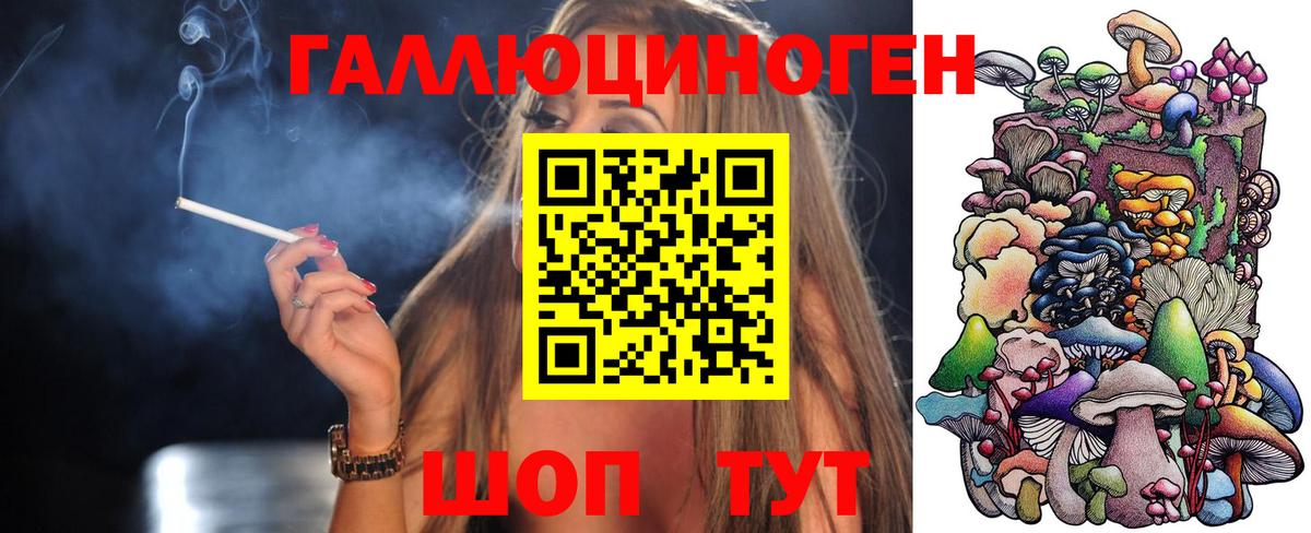 Галлюциногенные грибы Psilocybe  Вход с VPN  Мценск 